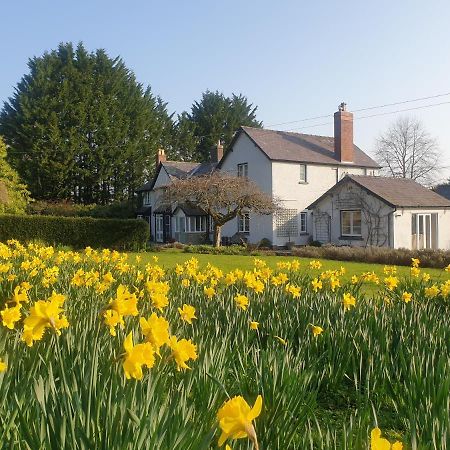 Lower House B&B Adforton Leintwardine Exteriör bild